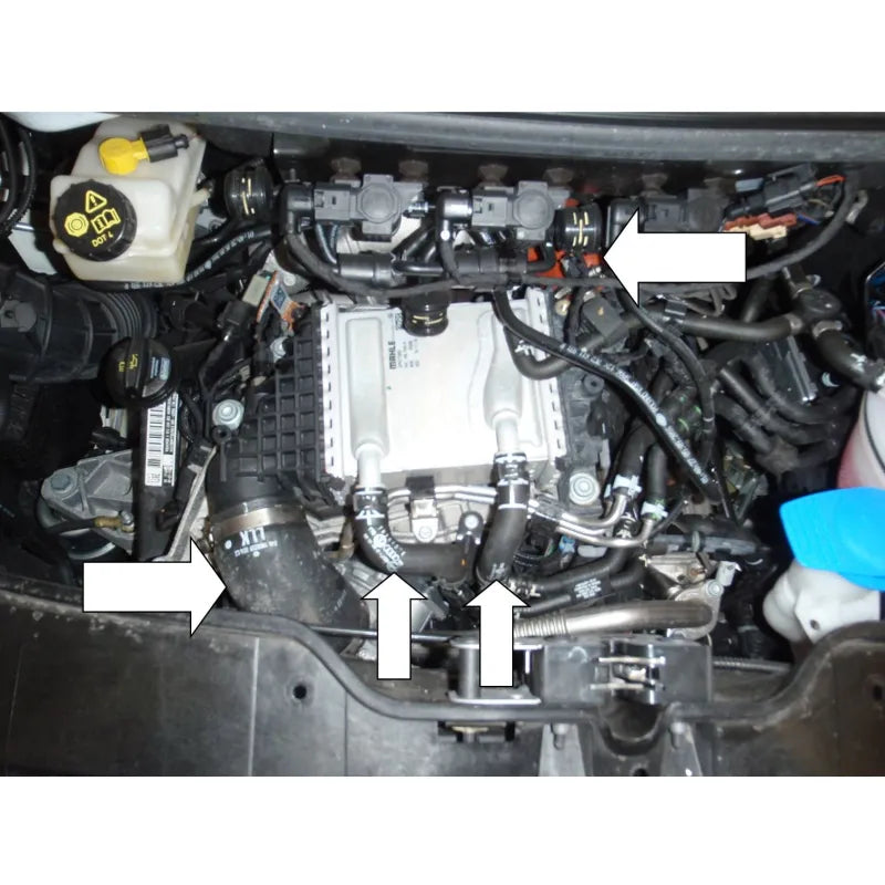 FORGE Ladeluftkühler Silikonschlauch für VW T6 TDI - 180, 199, 204 PS